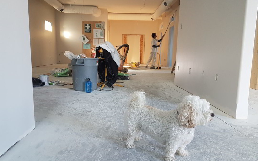 Post Renovation cleaning